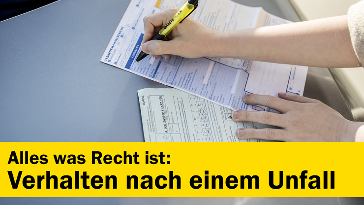 Platzhalter Platzhalter