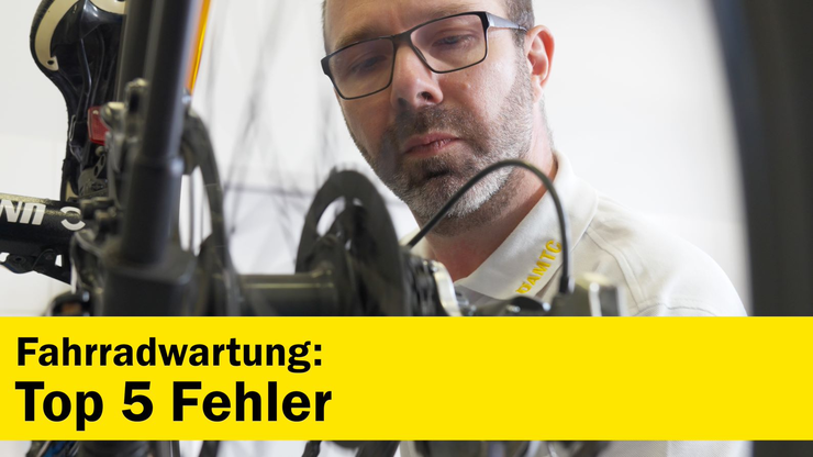 Platzhalter Platzhalter