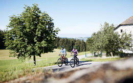 Zwei Radfahrer sind bei schönem Wetter auf dem Mühlviertelradweg in einer hügeligen grünen Landschaft unterwegs.