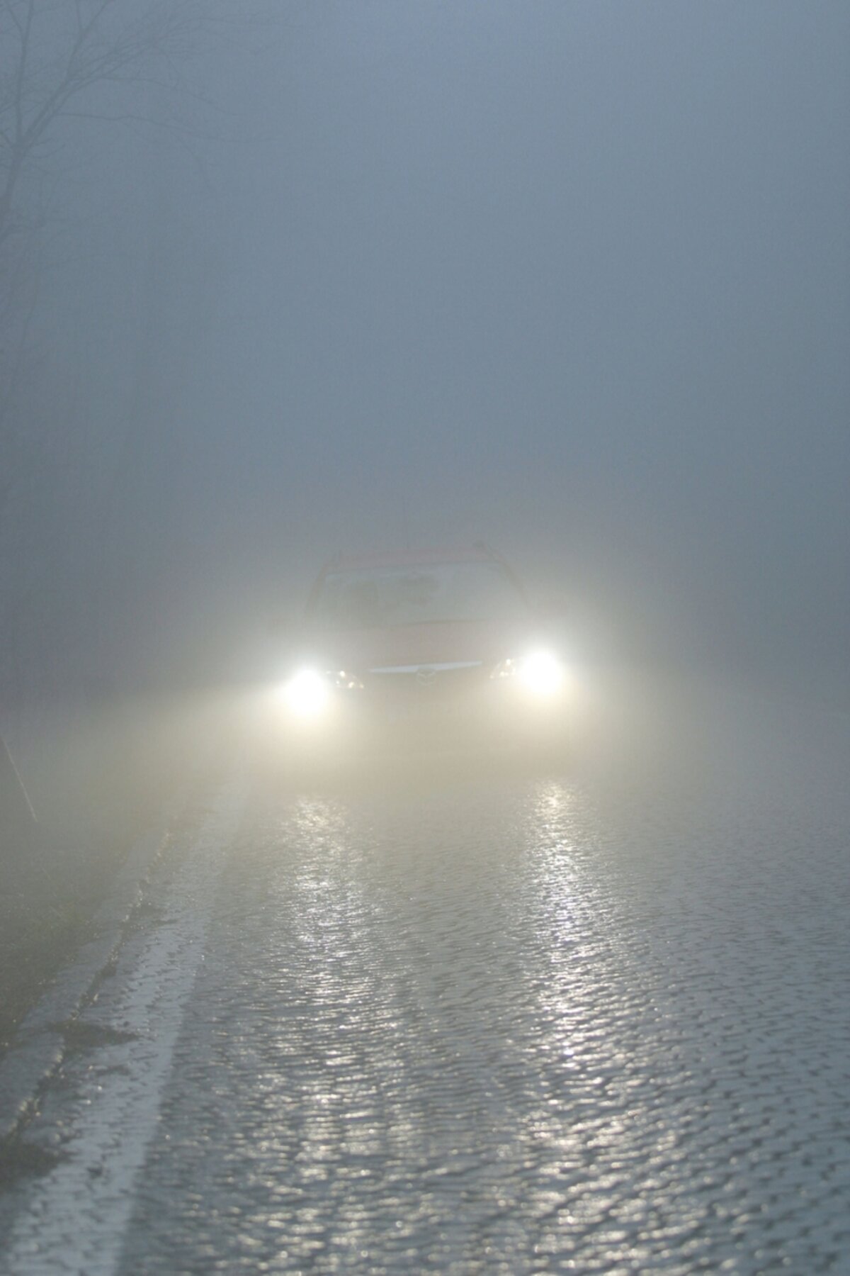 Welches Licht bei Nebel? - Fakten für Autofahrer