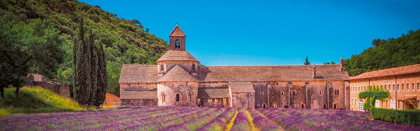 Feld mit Lavendel Reiseroute Südfrankreich