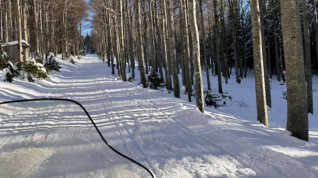 Bild vom Ski-Doo aus auf einen verschneiten Waldweg.