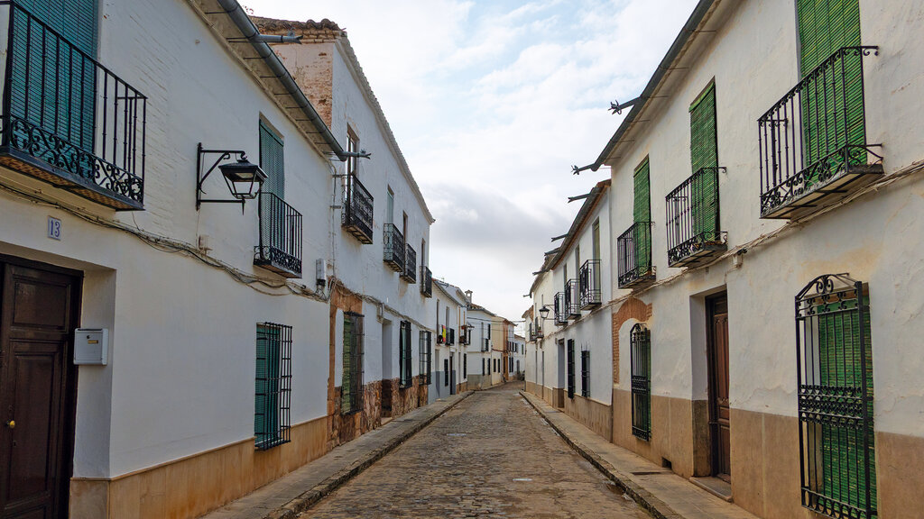 Eine Straße in Almagro