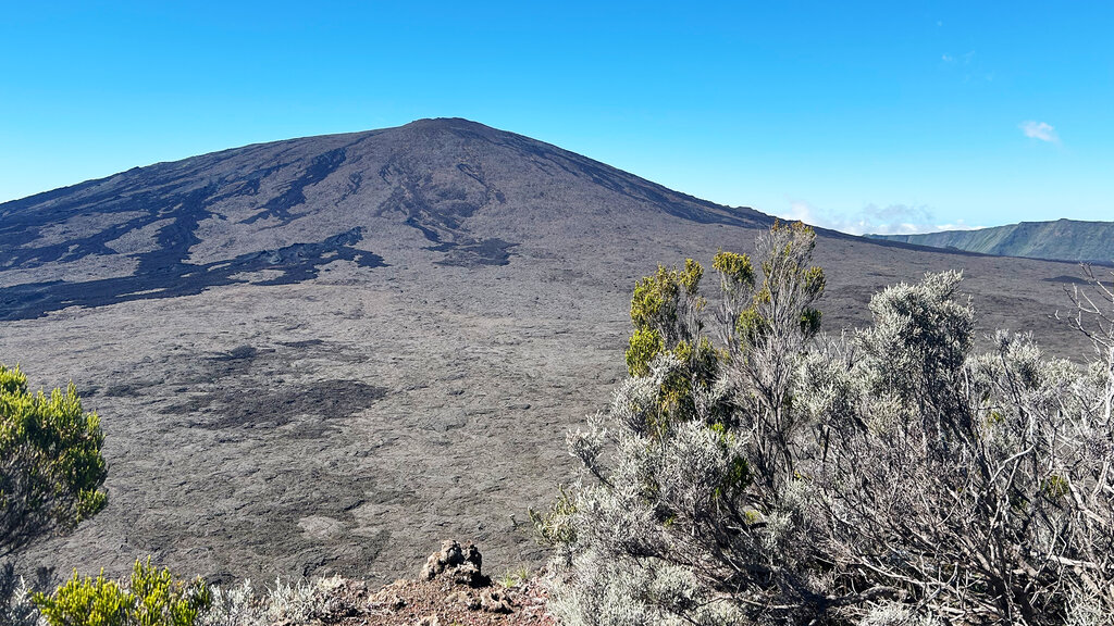 Gestrüpp vor einem kahlen Hügel im Hintergrund